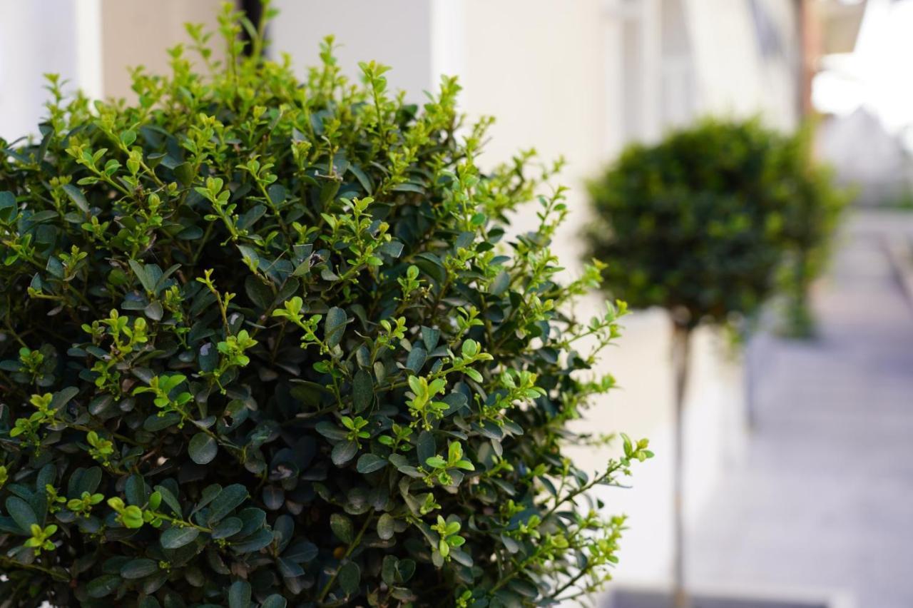 4Rooms B&B - Holiday Home Lamezia Terme Εξωτερικό φωτογραφία